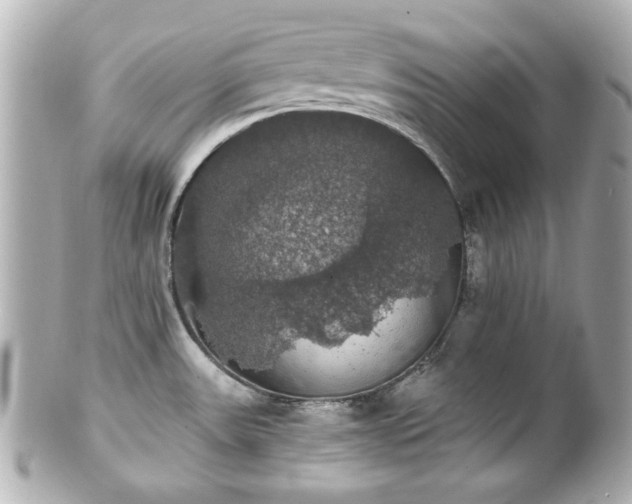 X0000100891531200807011145
