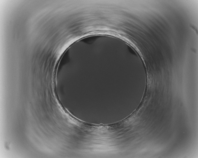 X0000100891533200807011145