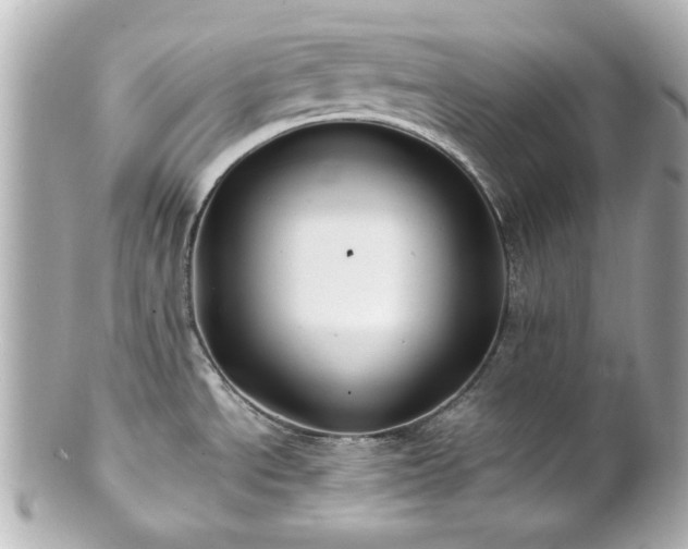 X0000100891534200807011145