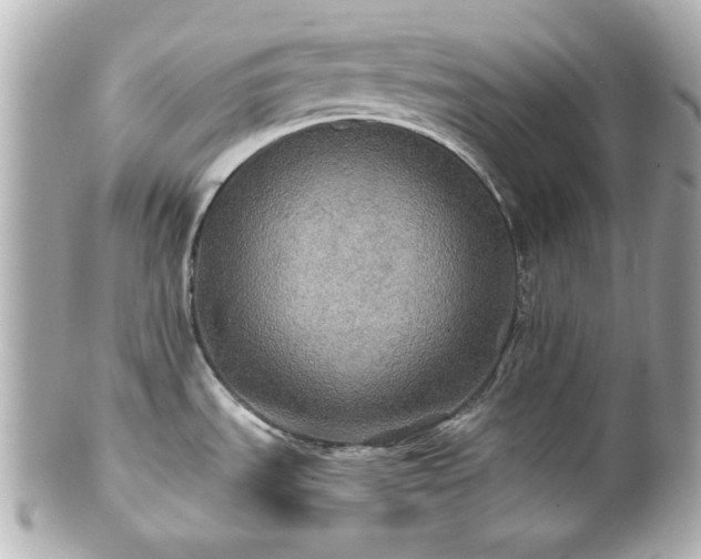 X0000100891535200807011145