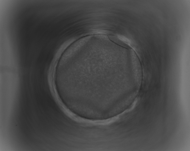 X0000100890001200807081051