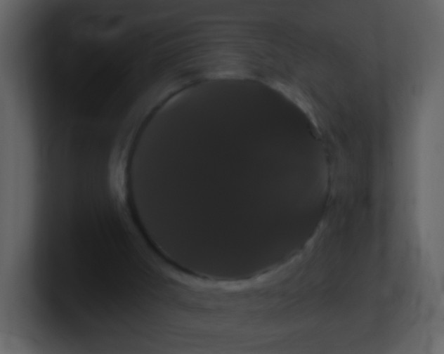 X0000100890002200807081051