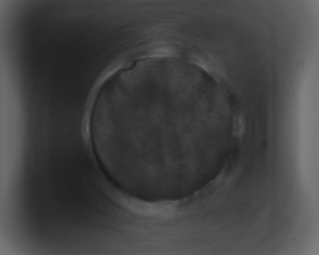 X0000100890004200807081051