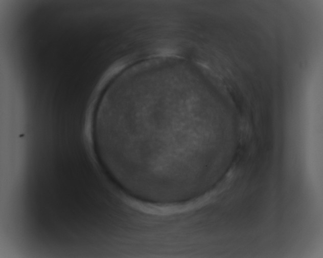 X0000100890006200807081051