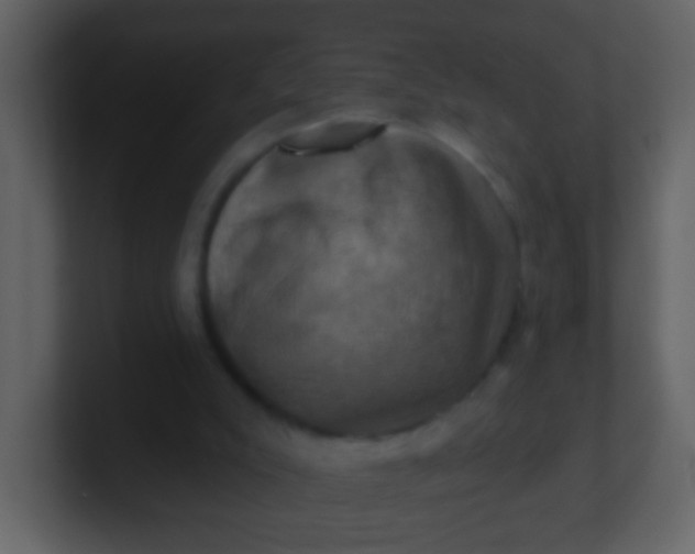 X0000100890007200807081051