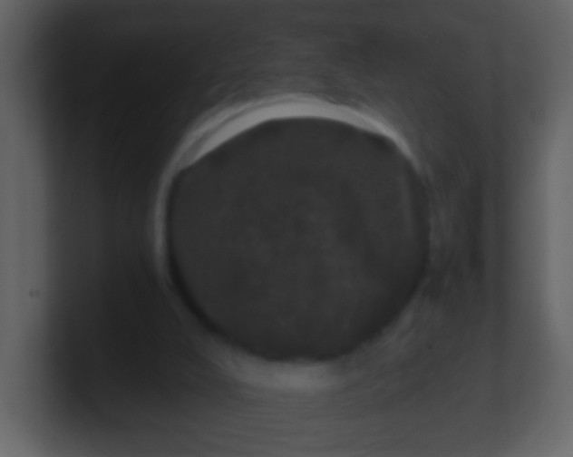 X0000100890008200807081051