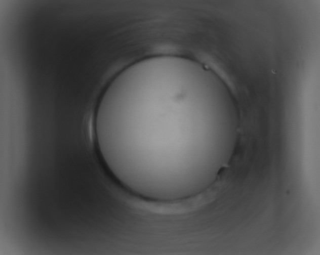 X0000100890011200807081051