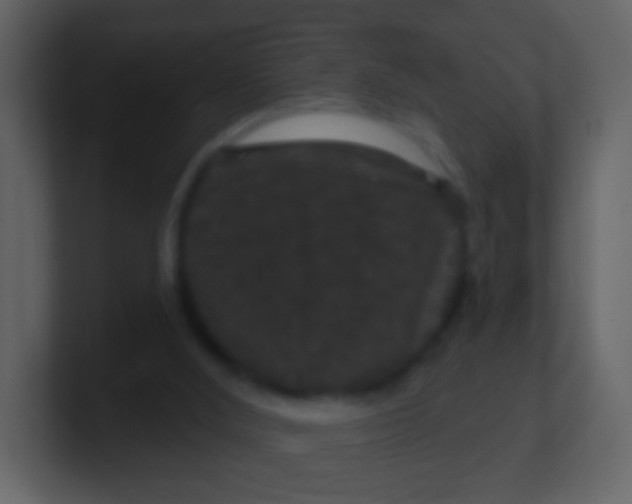 X0000100890012200807081051