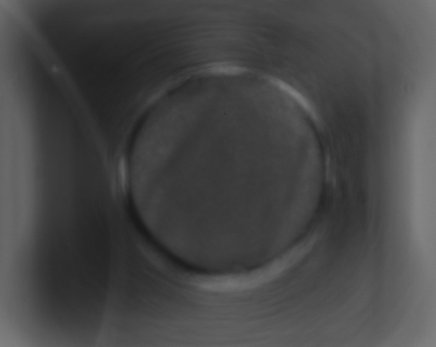 X0000100890013200807081051