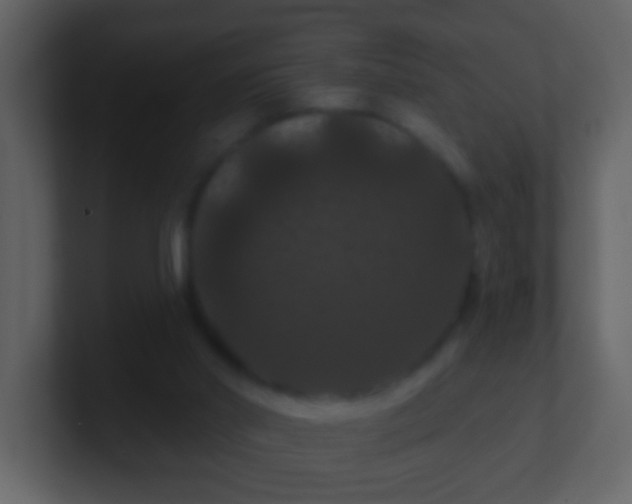 X0000100890014200807081051