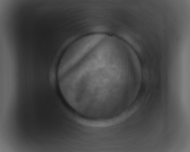 X0000100890015200807081051