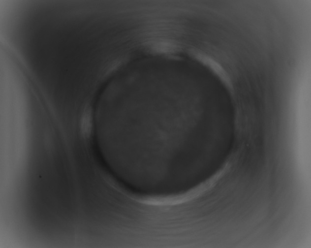 X0000100890017200807081051