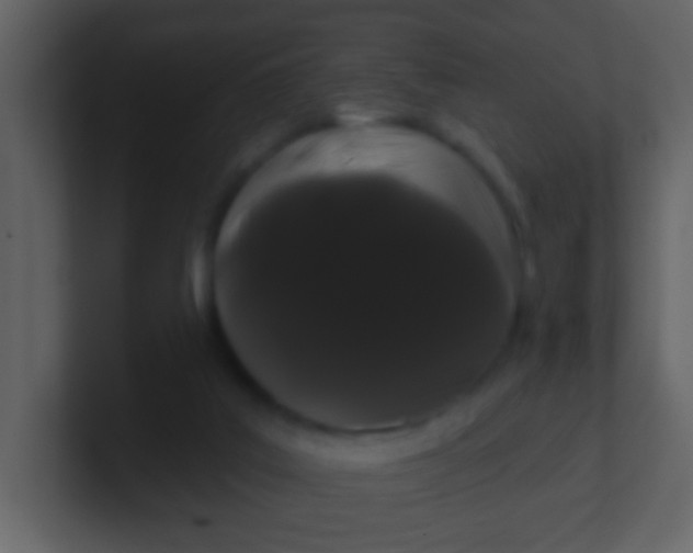 X0000100890019200807081051