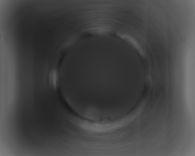 X0000100890022200807081051