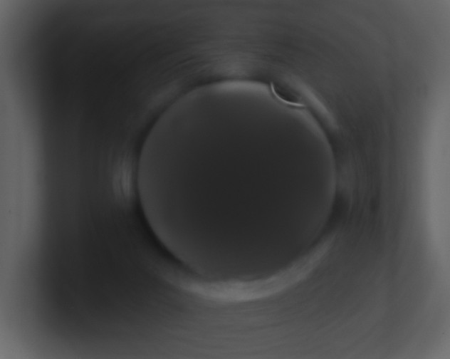 X0000100890023200807081051