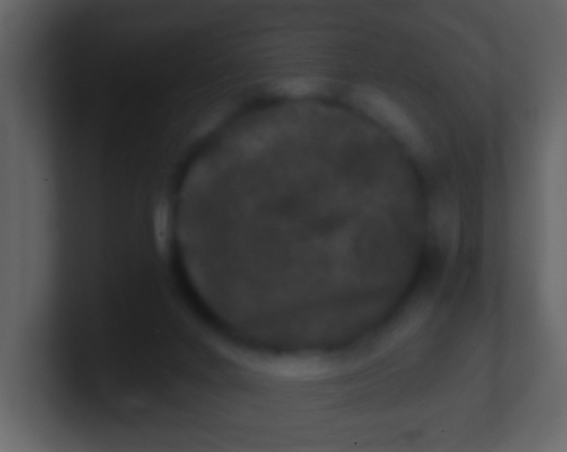 X0000100890024200807081050