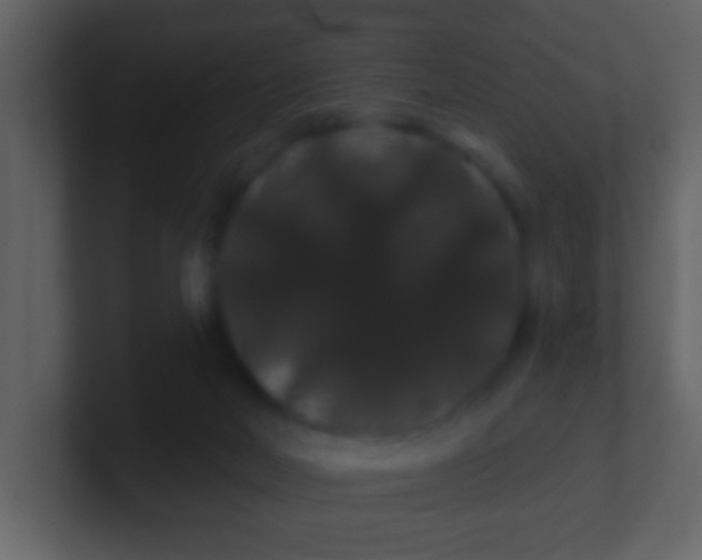 X0000100890026200807081050