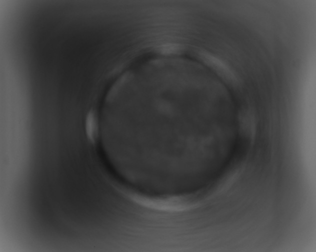 X0000100890028200807081050