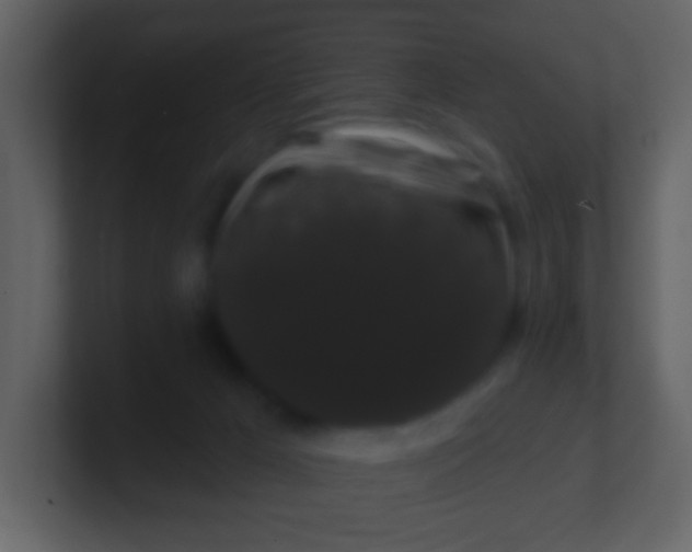 X0000100890029200807081050