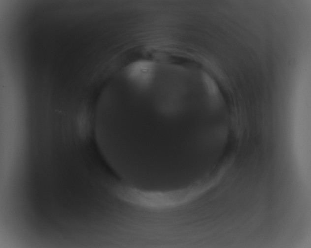 X0000100890030200807081050