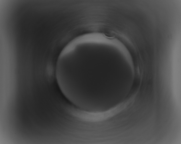 X0000100890031200807081050