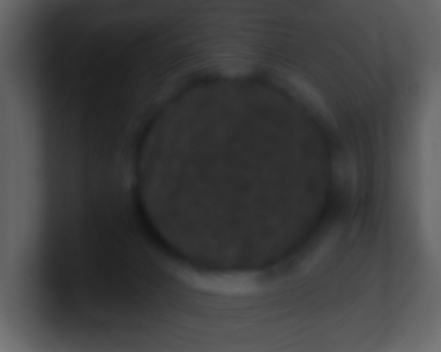 X0000100890032200807081050