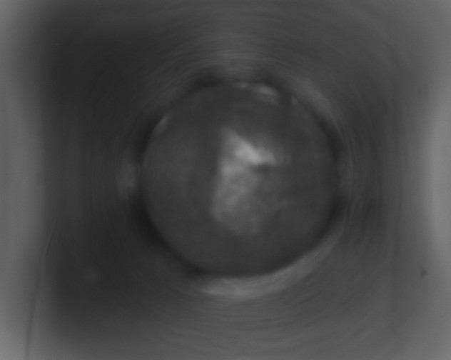 X0000100890033200807081050