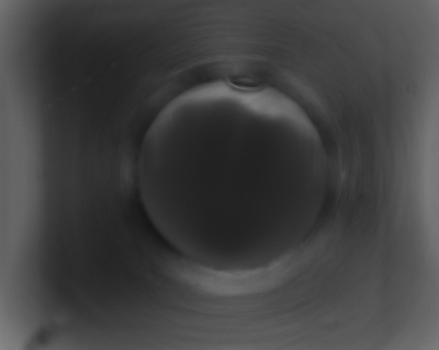 X0000100890035200807081050