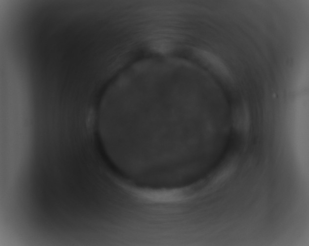 X0000100890036200807081050