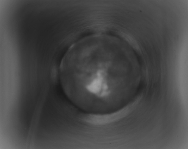 X0000100890037200807081050