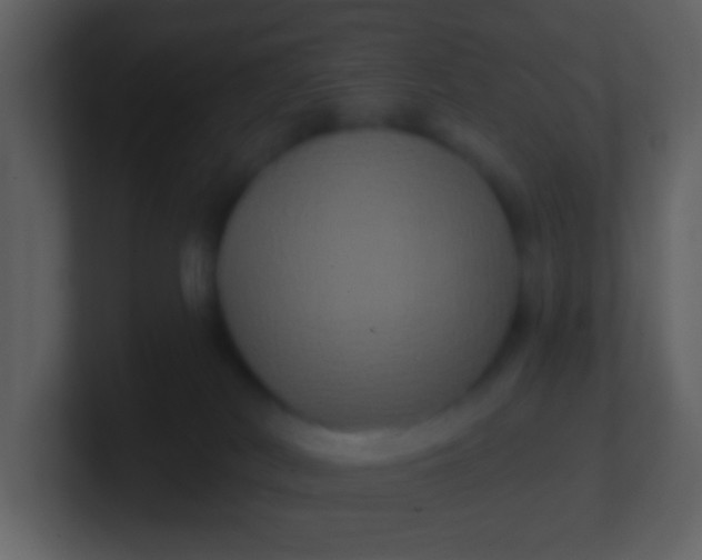 X0000100890038200807081050