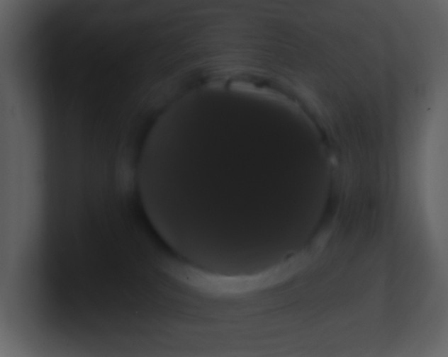 X0000100890039200807081050