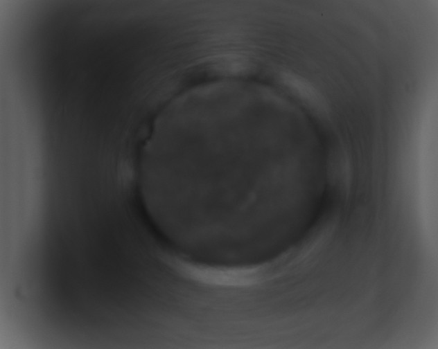 X0000100890040200807081050