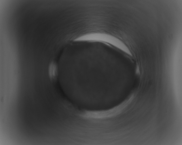 X0000100890041200807081050