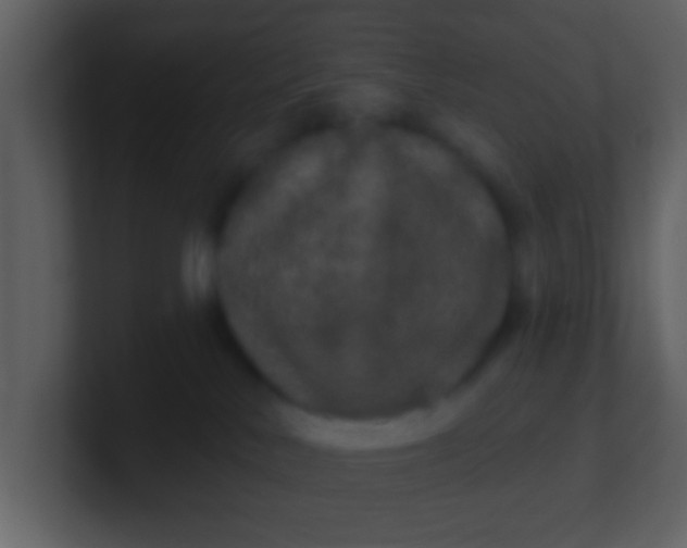 X0000100890042200807081050