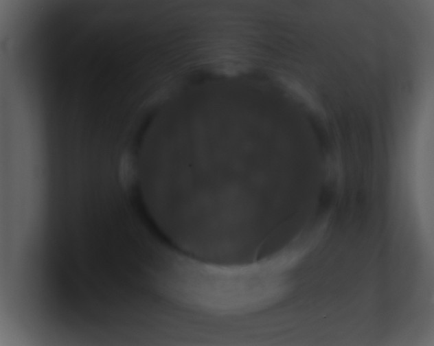 X0000100890043200807081050