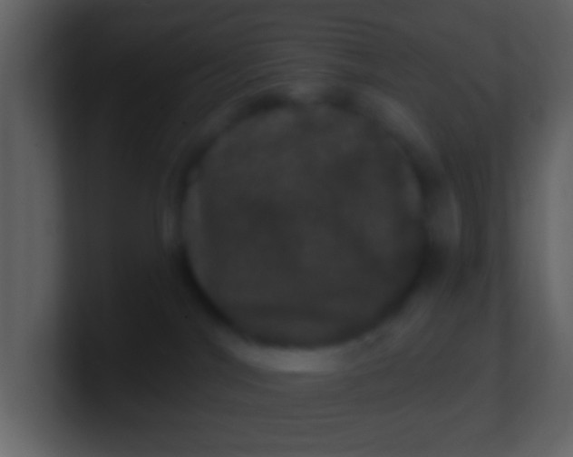 X0000100890044200807081050