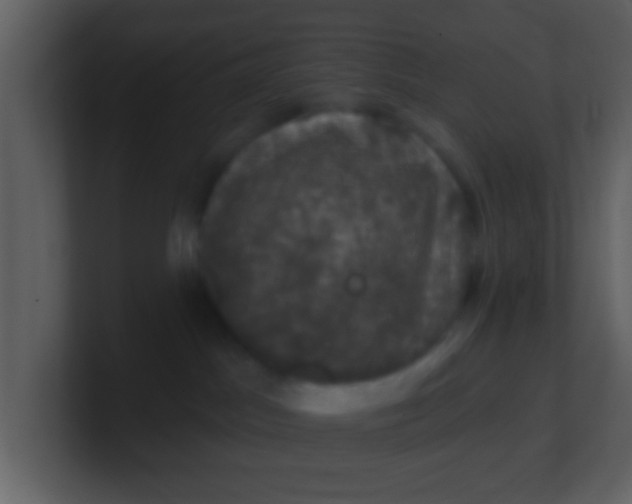 X0000100890045200807081050