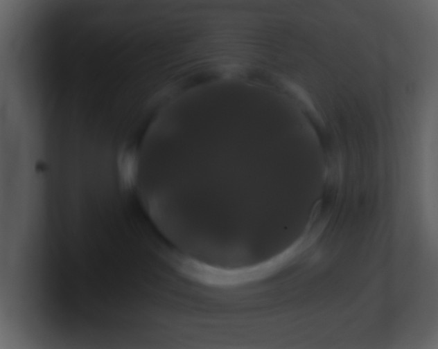 X0000100890047200807081050