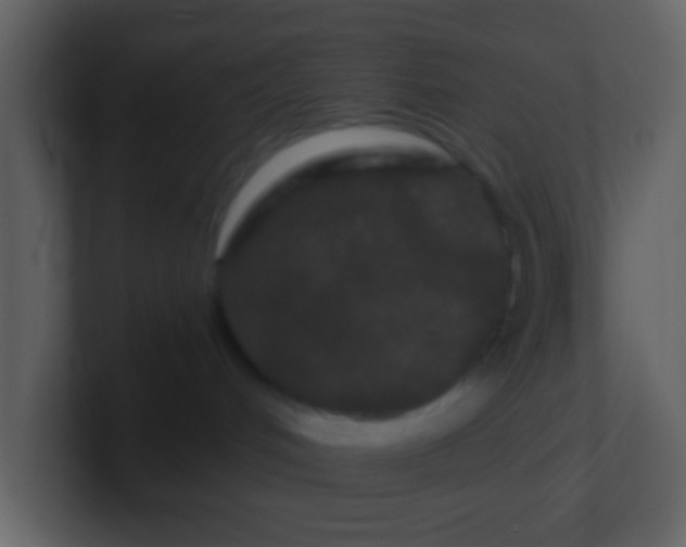 X0000100890048200807081050