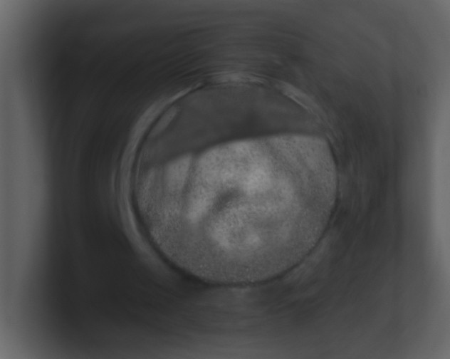 X0000100890049200807081050