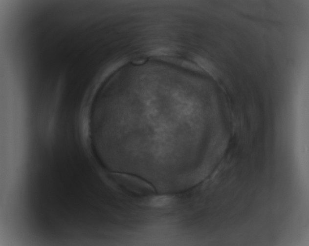 X0000100890050200807081050