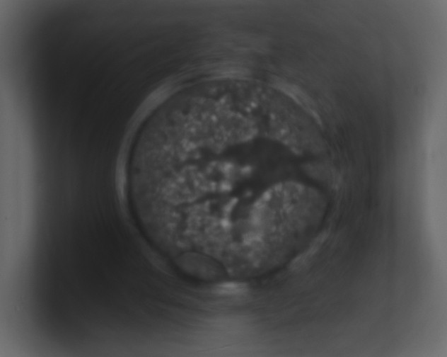 X0000100890053200807081050