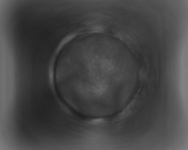 X0000100890054200807081050