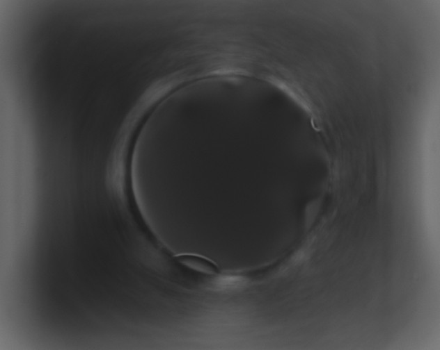 X0000100890055200807081050