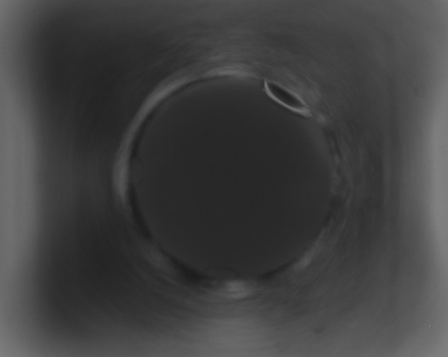 X0000100890056200807081050