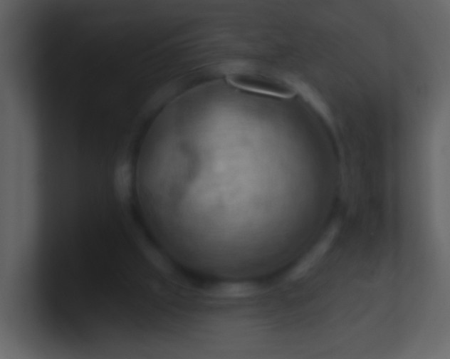 X0000100890057200807081050