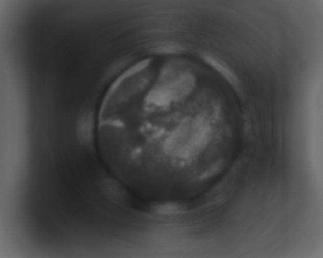 X0000100890058200807081050