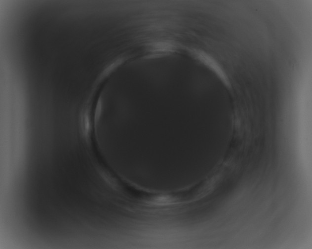 X0000100890059200807081050