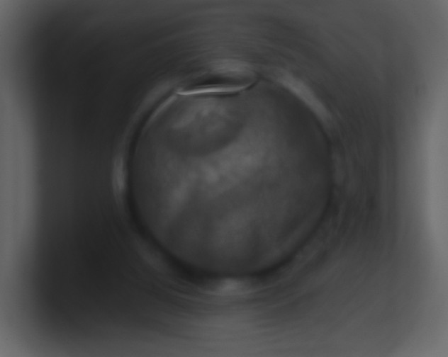 X0000100890060200807081050